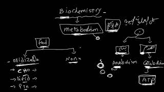 Introduction to biochemistry [upl. by Hephzibah]