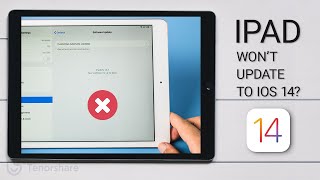 iPad Wont Update to iOS 14 Here is the Fix [upl. by Leahciam307]