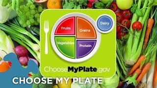 Choose My Plate Dietary Guidelines [upl. by Abagail841]