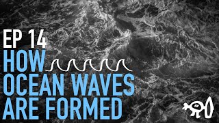 Surfing Explained Ep14 How an Ocean Wave Forms [upl. by Sax]