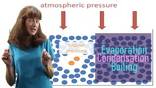 Evaporation condensation and boiling [upl. by Llenyar]