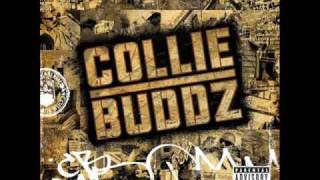 Collie Buddz Come Around Instrumental [upl. by Airtina]