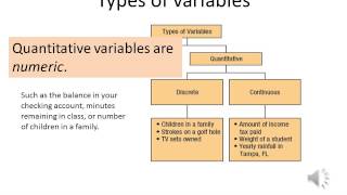 Introduction to Business Statistics Lesson 1 [upl. by Mima893]