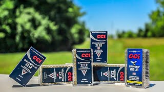 Best CCI 22lr Ammo [upl. by Akeem]