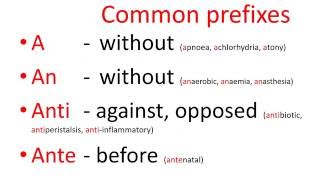 Medical terms  common prefixes [upl. by Astra630]