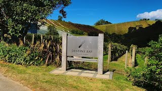 Destiny Bay Vineyard amp Winery Tour Full Tour [upl. by Locklin618]