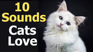 10 Sounds Cats Love To Hear The Most [upl. by Egedan210]