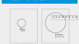 AS Biology  Using scale bars to calculate magnification [upl. by Charpentier718]