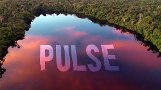 Rising Appalachia  Dirtwire  Pulse Official Video [upl. by Nevetse]