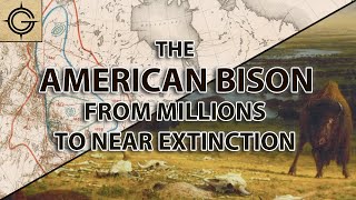 The American Bison From Millions to Near Extinction [upl. by Einnalem]