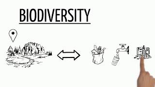 Biodiversity Explained [upl. by Fesoj138]