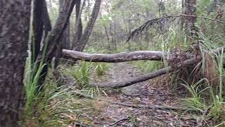 Gerringong Falls [upl. by Schumer]