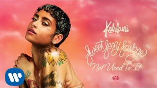 Kehlani – Not Used To It Official Audio [upl. by Vola]