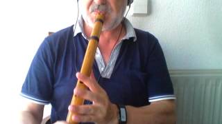 Unchained Melody  Quenacho flute [upl. by Alaet746]