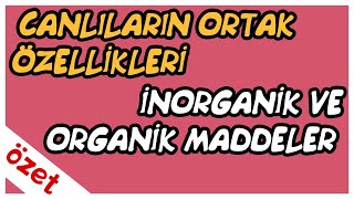 Canlıların Ortak Özellikleri  İnorganik ve Organik Maddeler Özet  TYT Biyoloji [upl. by Tull892]