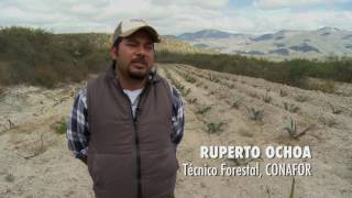 Capítulo 9  El desierto del sur Tehuacán Cuicatlán [upl. by Dor]