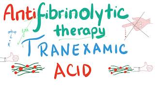 AntiClot busters  AntiThrombolytics  AntiFibrinolytics Part 1  Pharmacology Tranexamic [upl. by Gayleen]