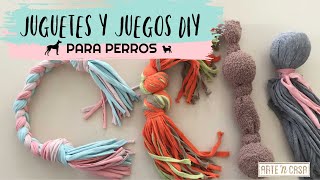 DIY juguetes y juegos para perros [upl. by Sim]