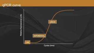 Overview of qPCR [upl. by Kcirded]