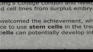 A Stem Cell Story [upl. by Hoj286]