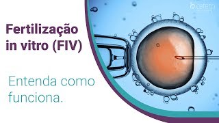 Fertilização in Vitro FIV  CEFERP [upl. by Lehcear]