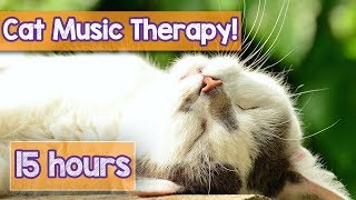 PET MUSIC THERAPY for Cats Natural Remedy to Anxiety and Loneliness DeStress and Relax Cats [upl. by Allerus]