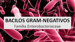 Microbiologia Médica Introdução aos Bacilos Gram Negativos Família Enterobacteriaceae [upl. by Yort]