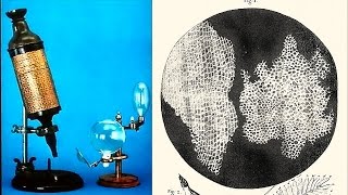 How Robert Hooke Discovered The Cell [upl. by Ahsiym]