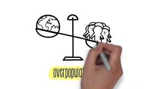 Explaining overpopulation  Sustainability  ACCIONA [upl. by Dorette958]