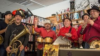 Fanfare Ciocarlia NPR Music Tiny Desk Concert [upl. by Efron]