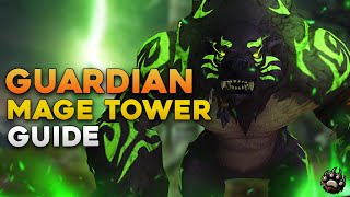 Guardian Druid Mage Tower Guide [upl. by Aiksas]