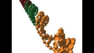 Nonhomologous end joining [upl. by Nema]