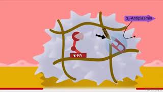 Fibrinolytics Pharmacology [upl. by Elberfeld]