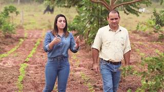 Videoaula  Sistemas Agroflorestais SAFs  Módulo 1 [upl. by Doelling97]