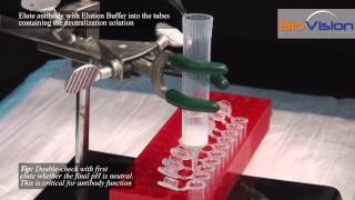 Antibody Purification Video  Biovision Inc [upl. by Ainattirb]