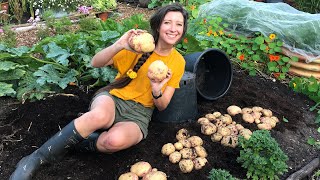 How to Grow Potatoes in Pots  Homegrown Garden [upl. by Amick214]