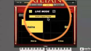 Trilian 101 Core Trilian  05 Live Mode Keyswitching [upl. by Esme]