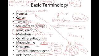 Introduction to Cancer [upl. by Chu]