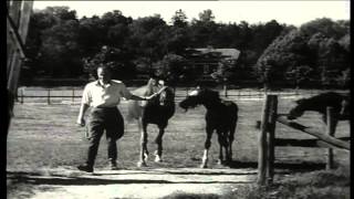 Nyordning på sjögårda 1944 [upl. by Mireielle]