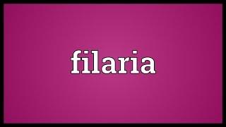 Filaria Meaning [upl. by Ahen225]