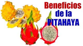 Los Beneficios de la Pitahaya  Agrosalud [upl. by Lumbard]