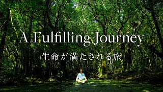 屋久島  Yakushima A Fulfilling Journey  生命が満たされる旅 Documentary 4K [upl. by Eelyrehc]