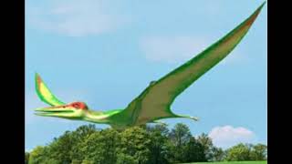 Dino Dan Pterodactyls sound effects [upl. by Neirbo491]