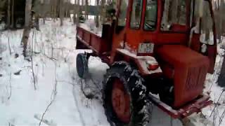 Russian Tractor HTZ T16 Firewood Logging [upl. by Scheck633]