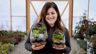 How to Make A Terrarium Full Version  Garden Answer [upl. by Caril]