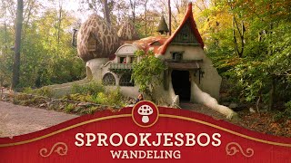 Efteling Walkthrough  Sprookjesbos [upl. by Etnemelc32]