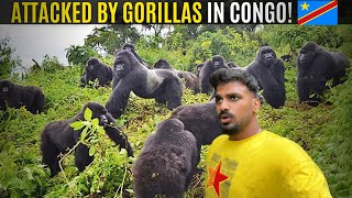 DRC Gorilla Trek Gone Wrong 🇨🇩 [upl. by Yrkcaz]