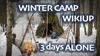 Winter Bushcraft  WIKIUP Shelter  3 Days ALONE in WINTER Forest  BUSHCRAFT Trip amp Skills  ASMR [upl. by Akoyin717]