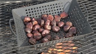 From the Pit How to Roast Chestnuts on an Open Fire [upl. by Plafker634]