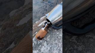 Cute Rat and Mammi Funny video🤣Part2 mini wood toywood working skillwoodshorts [upl. by Anaidiriv82]